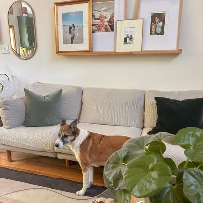 Görüntü 17.jpeg__PID:277f2c79-9e39-4cc1-b0a2-bf1da8245a05