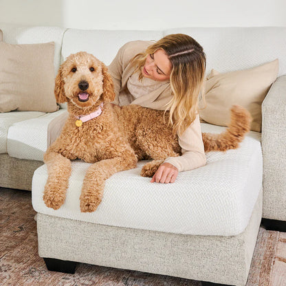 Sihirli Koltuk Kılıfları - Klasik